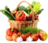 ugatrade Online Shop