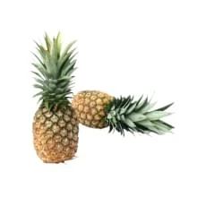 Ugatrade Online Shop